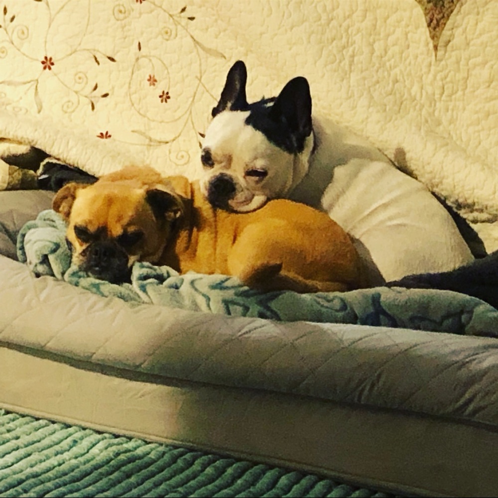 Meet your Posher, Adria - Picture 4 of 11